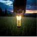 Goal Zero Lighthouse Micro Flash USB Rechargeable Waterproof Lantern GoalZero