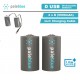 Pale Blue D USB Rechargeable Smart Batteries Battery (Pack of 2)