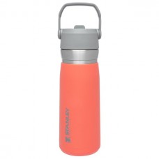Stanley Classics Ice Flow Flip Straw Insulated Stainless Steel Water Bottle 27oz Guava ‎10-09698-004